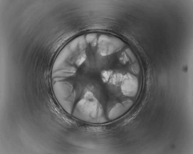 X0000115321121200911301552