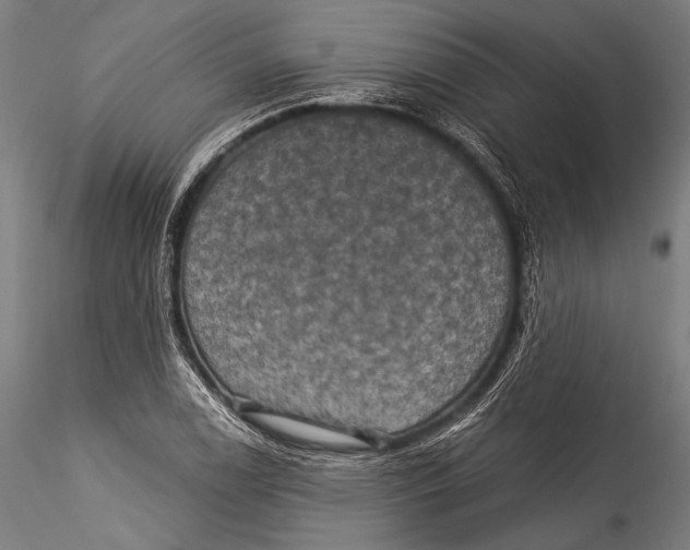 X0000115321122200911301552