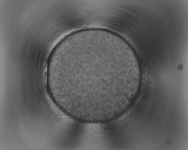 X0000115321126200911301552