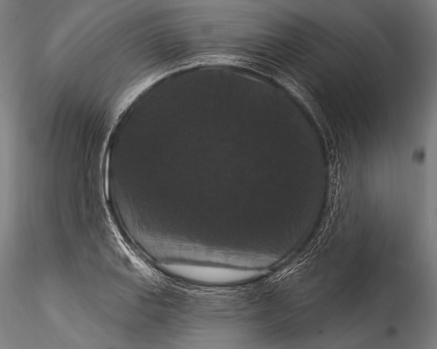 X0000115321127200911301552