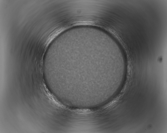 X0000115321129200911301552