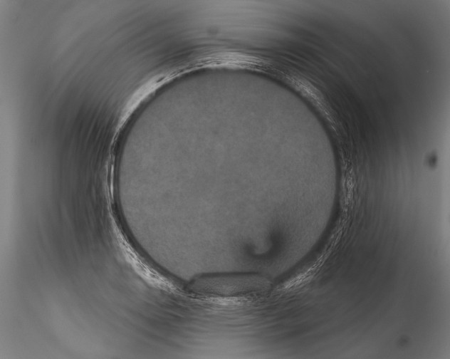 X0000115321130200911301552