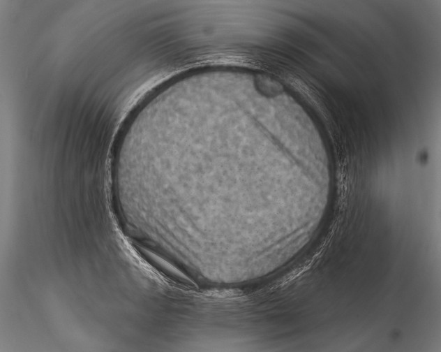 X0000115321133200911301552