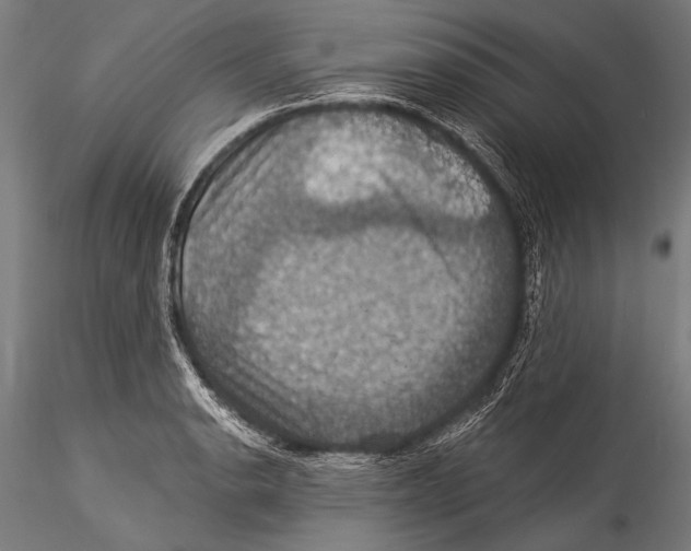 X0000115321134200911301552