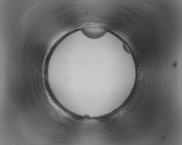 X0000115321135200911301552