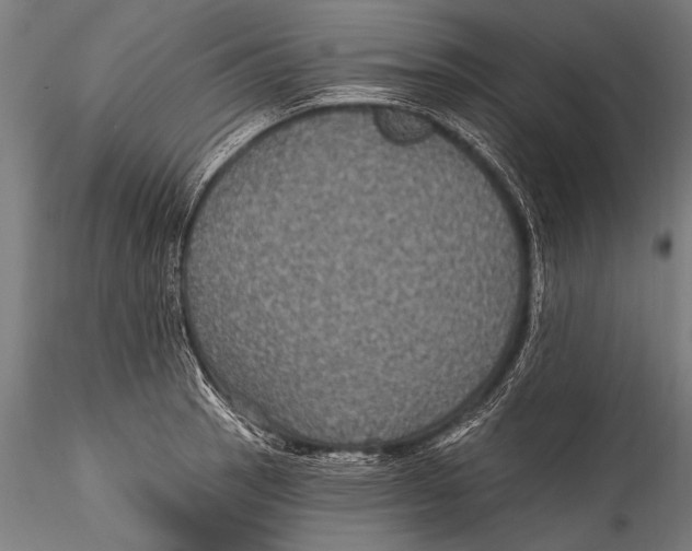 X0000115321137200911301552