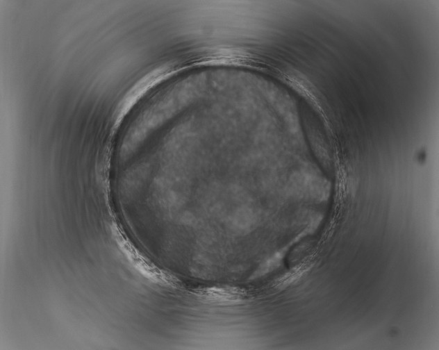 X0000115321138200911301552