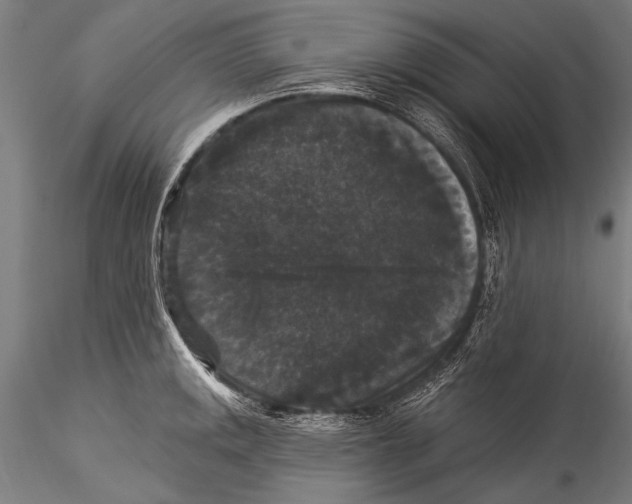 X0000115321141200911301552