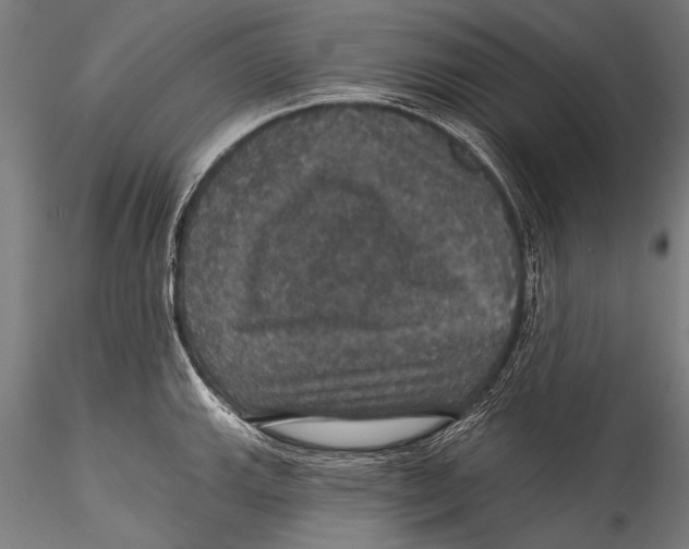 X0000115321143200911301552