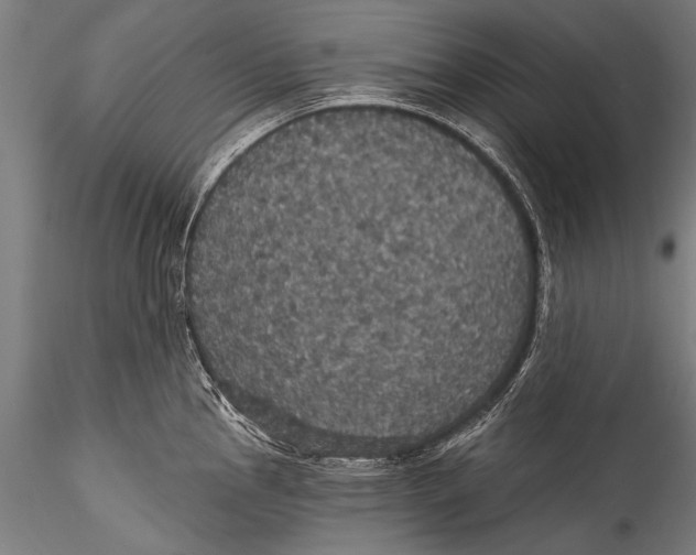 X0000115321145200911301552