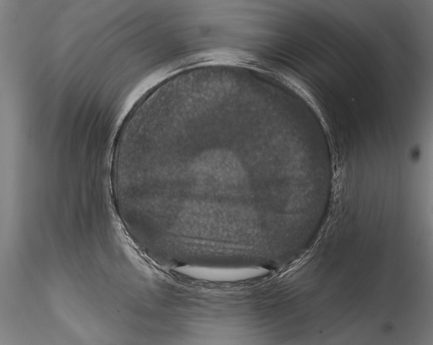 X0000115321146200911301552