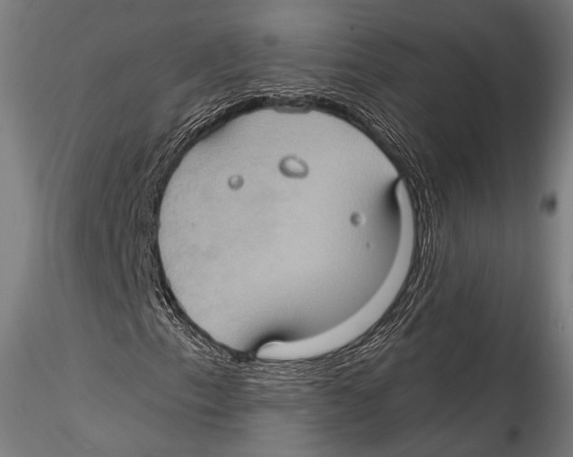 X0000115321153200911301552