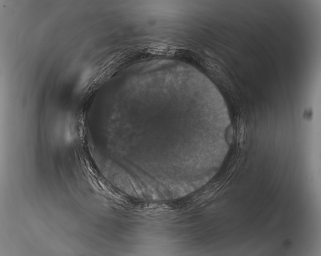 X0000115321154200911301552