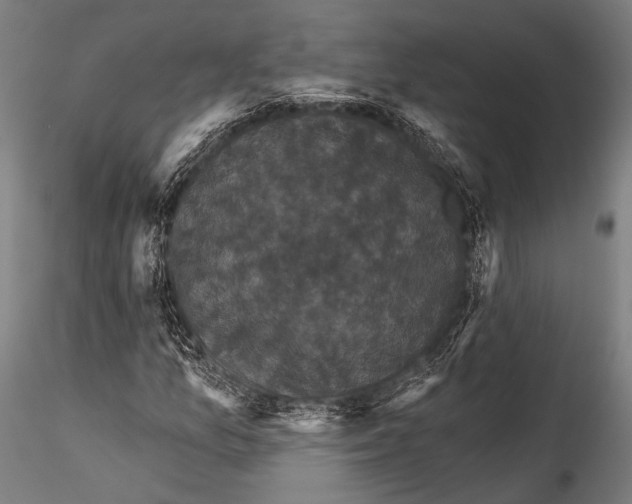 X0000115321157200911301552