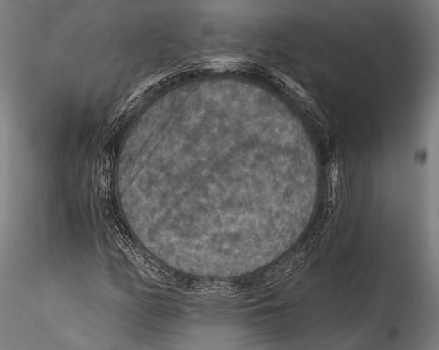 X0000115321158200911301552