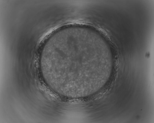 X0000115321159200911301552