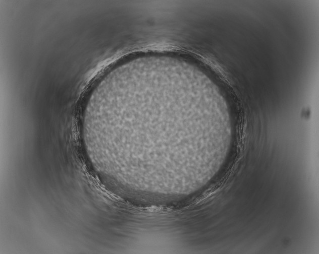 X0000115321160200911301552