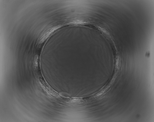 X0000115321161200911301552