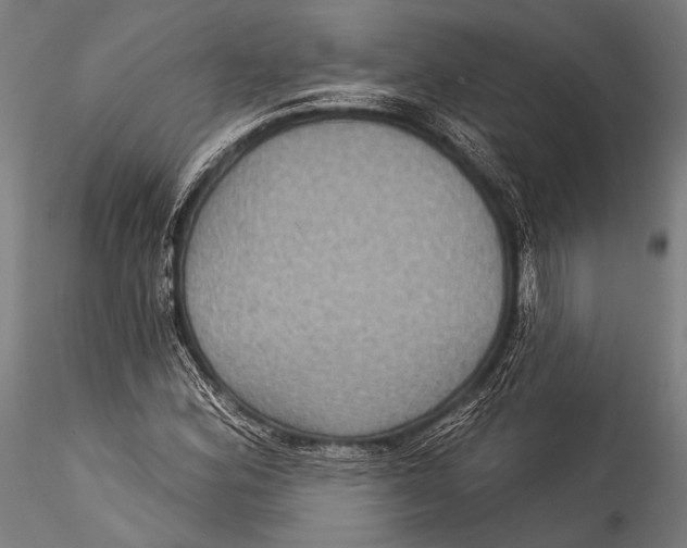 X0000115321164200911301552