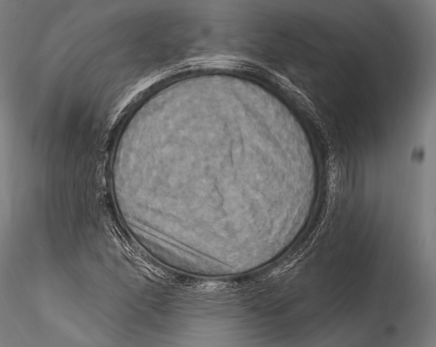 X0000115321166200911301552