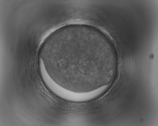 X0000115321167200911301552