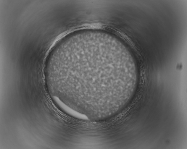 X0000115321168200911301551