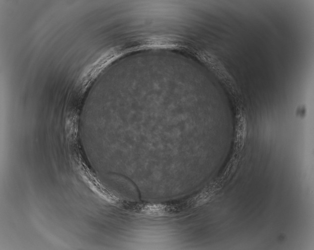 X0000115321169200911301551