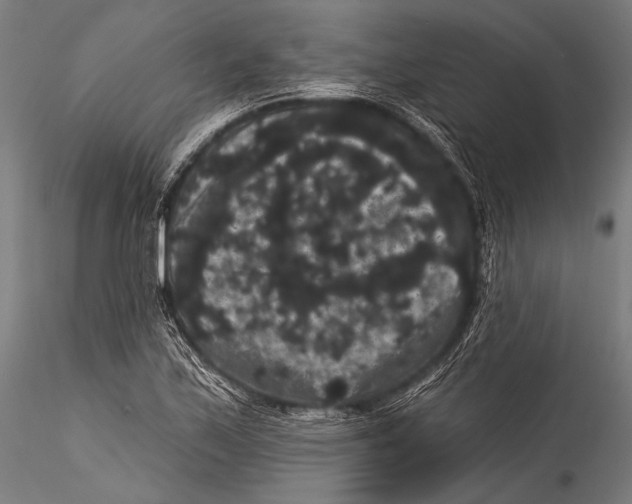 X0000115321171200911301551