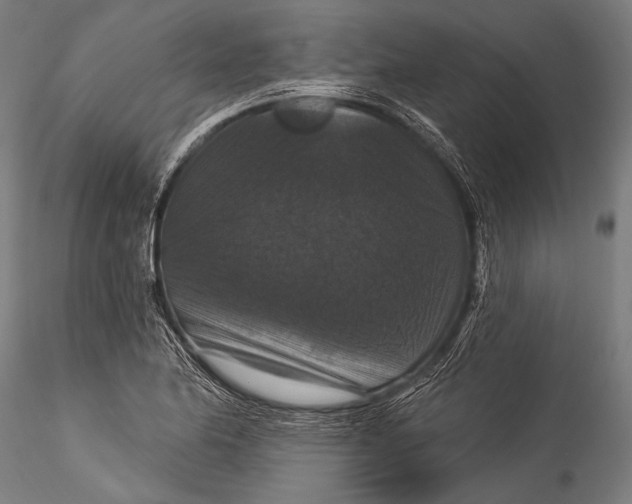 X0000115321174200911301551