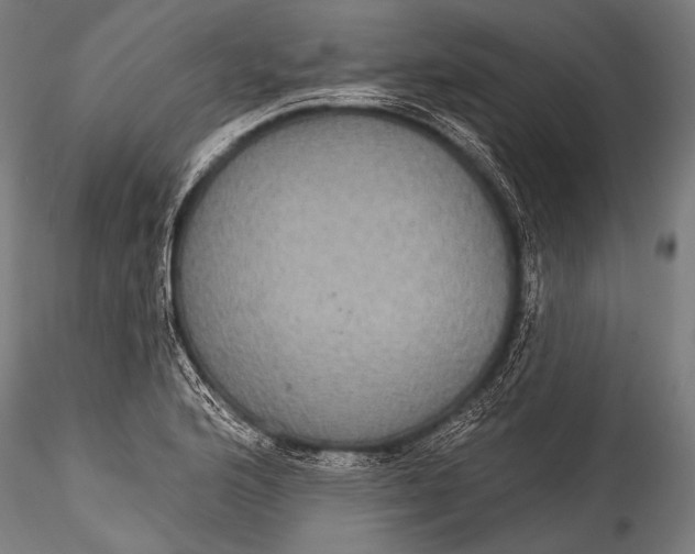 X0000115321176200911301551