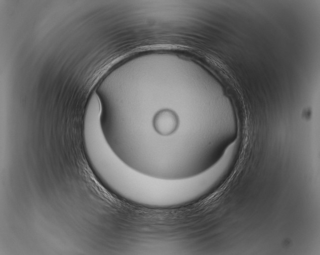 X0000115321177200911301551