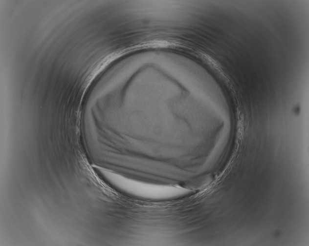 X0000115321178200911301551