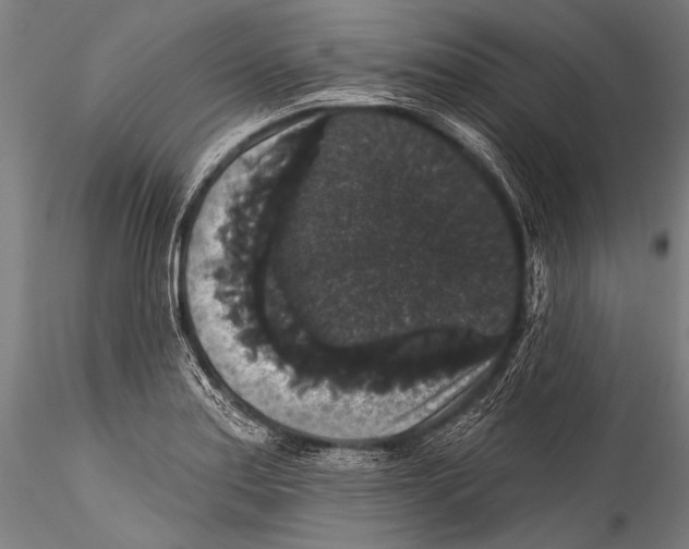 X0000115321179200911301551