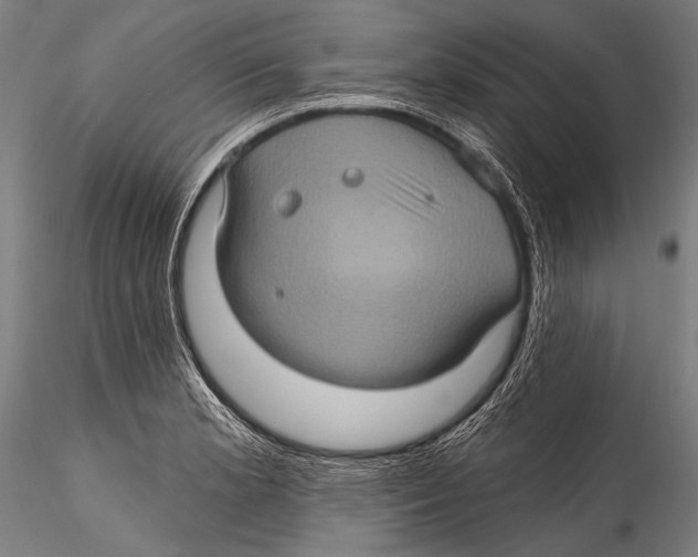 X0000115321181200911301551