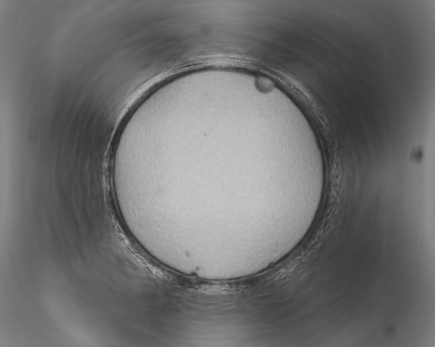 X0000115321182200911301551