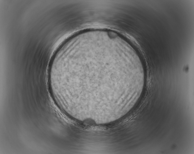 X0000115321183200911301551