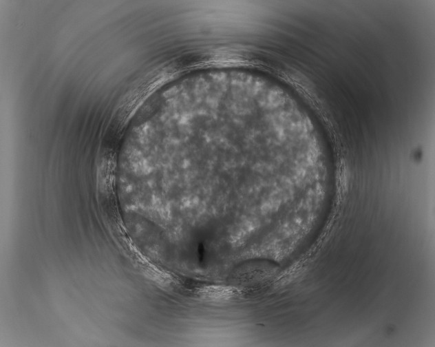 X0000115321185200911301551