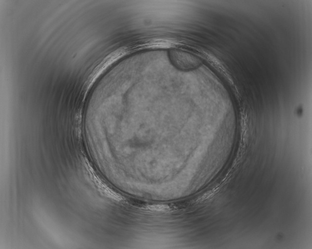 X0000115321186200911301551