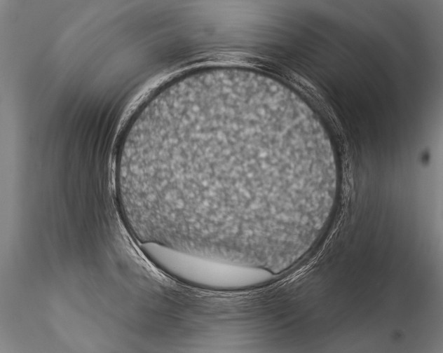 X0000115321188200911301551