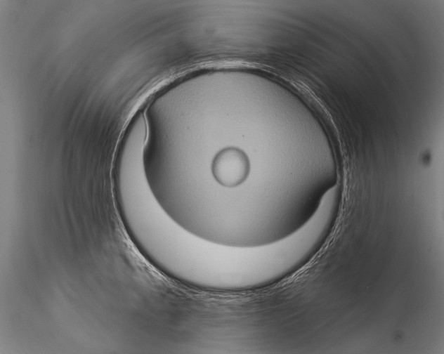 X0000115321189200911301551