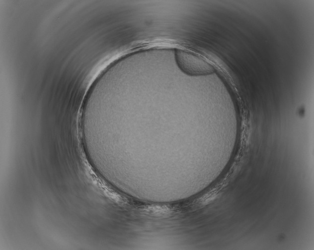 X0000115321190200911301551