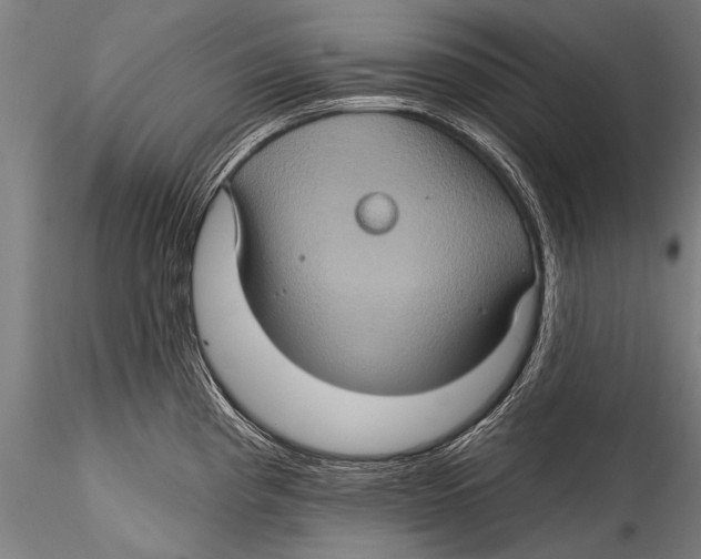 X0000115321193200911301551