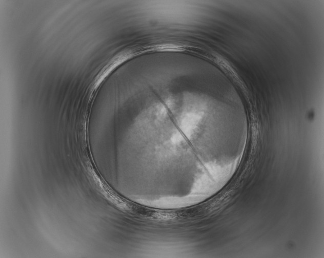 X0000115321194200911301551