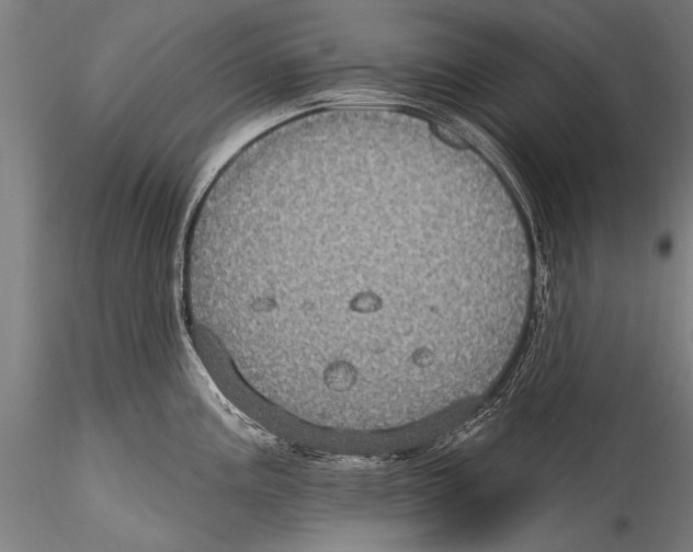 X0000115321195200911301551