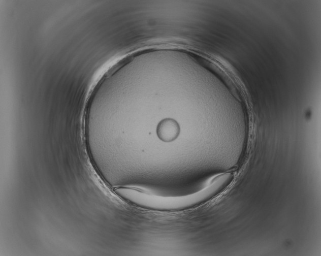 X0000115321196200911301551