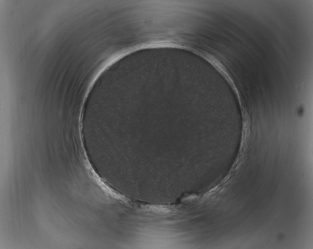 X0000115321197200911301551