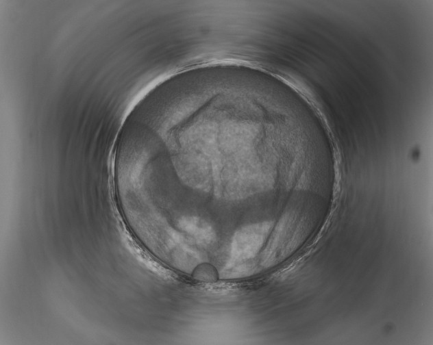 X0000115321198200911301551