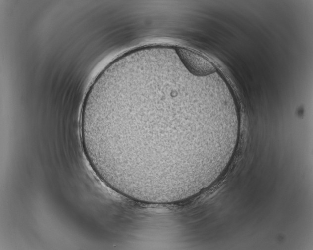 X0000115321199200911301551