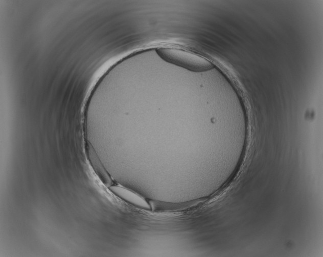 X0000115321200200911301551