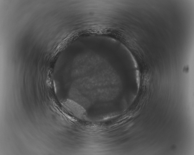 X0000115321202200911301550